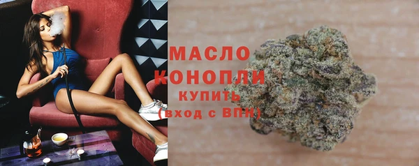 гашик Осинники