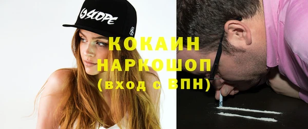 гашик Осинники
