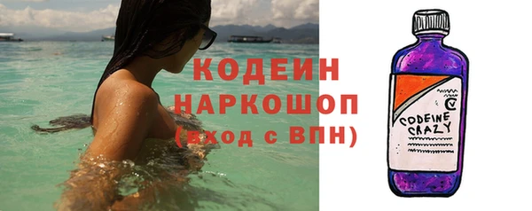 гашик Осинники