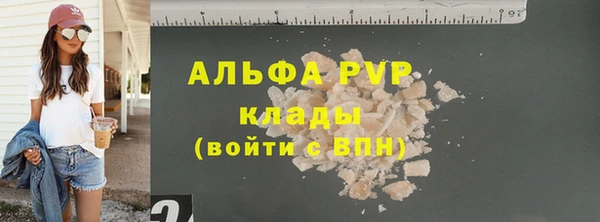 гашик Осинники