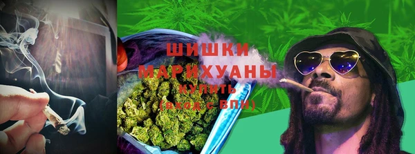 бошки Таштагол