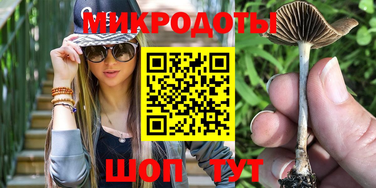 Великий Новгород  Псилоцибиновые грибы мухоморы  Псилоцибиновые грибы прущие грибы  Вход с VPN 