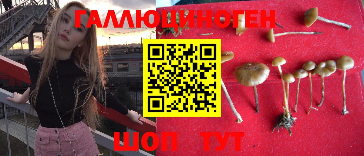 Псилоцибиновые грибы Magic Shrooms Великий Новгород