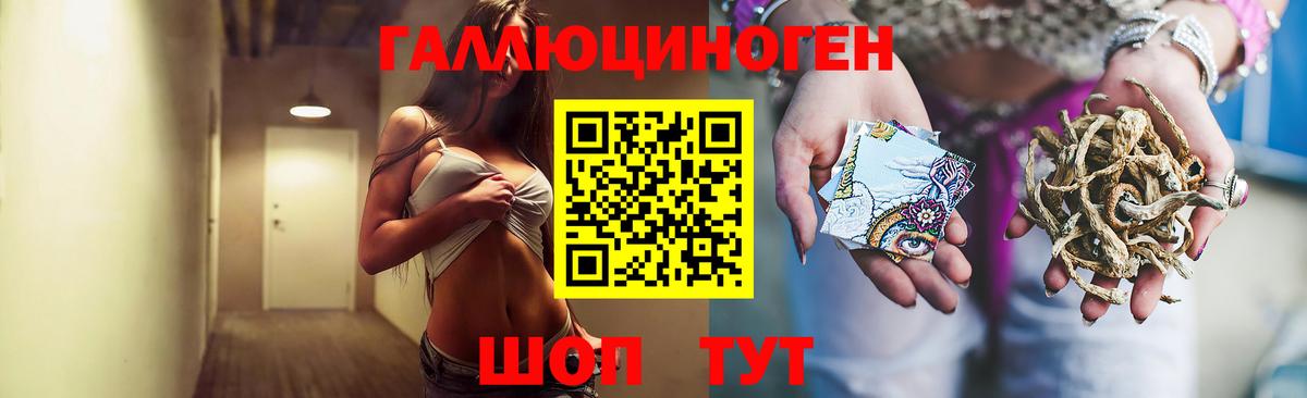 Галлюциногенные грибы Psilocybe Великий Новгород